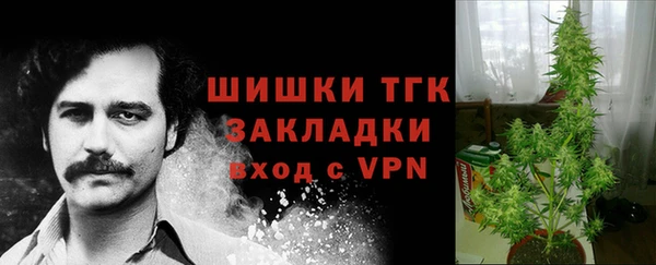 твердый Майский
