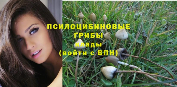 меф Мегион